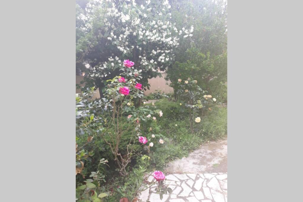 Villa 3 Etoiles Pres Des Plages, Parking, Wifi, Clim Sauvian Екстер'єр фото
